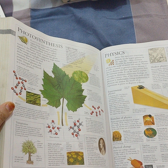 Family Encyclopaedia - Picture 14 of 15